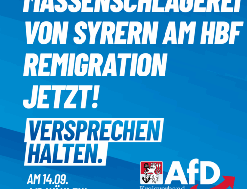 Remigration jetzt! Massenschlägerei von Syrern am HBF